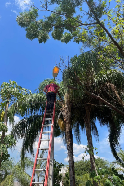 Electricistas en Asunción